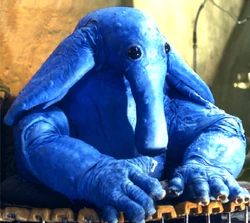 Maxrebo.jpg
