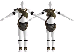 Dead Horses stalker armor
