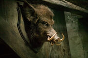 Hogshead