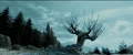 Willowhogwarts.jpg