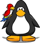 Parrot 1