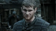 Grenn2