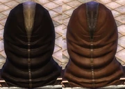 Leather Brown Dye