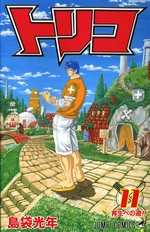 Volume 11