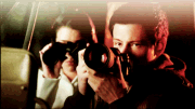 180px-Finchel 2.gif stakeout