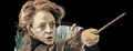 Deathlyhallowsduel.png