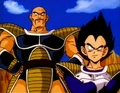 VegetaAndNappa03