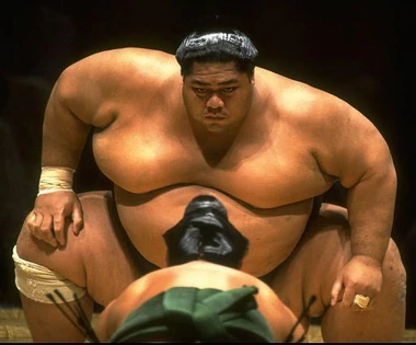 Sumo wrestler.jpg
