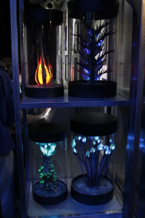 Dołączona grafika