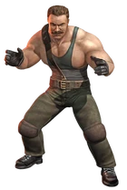 StreetwiseHaggar1