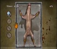 Bully Cerdo