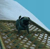 Ollie2