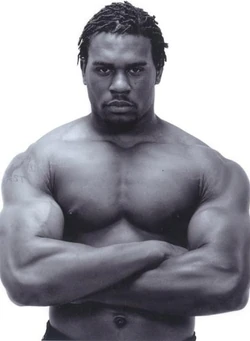 Shad