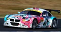 GTcar2009