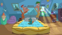 Everything Better With Perry Here