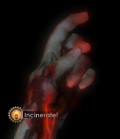 120px-Incinerate!