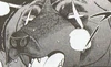 Bat face4
