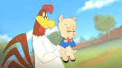 Foghorn Suggests Porky