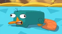 Perry A2SD
