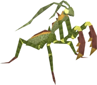 Praying mantis familiar