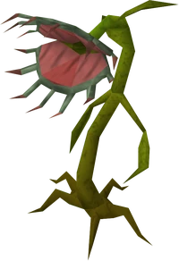 Stranger plant