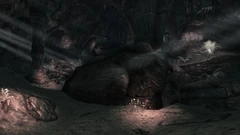 Morning Glory Cave interior