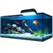 Item aquarium 01