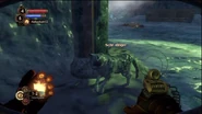 Bios2-13
