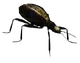 Electro-beetle