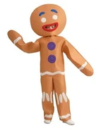 Shrek-gingy-costume