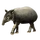 Item bairdstapir 01