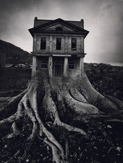 Ju tree house