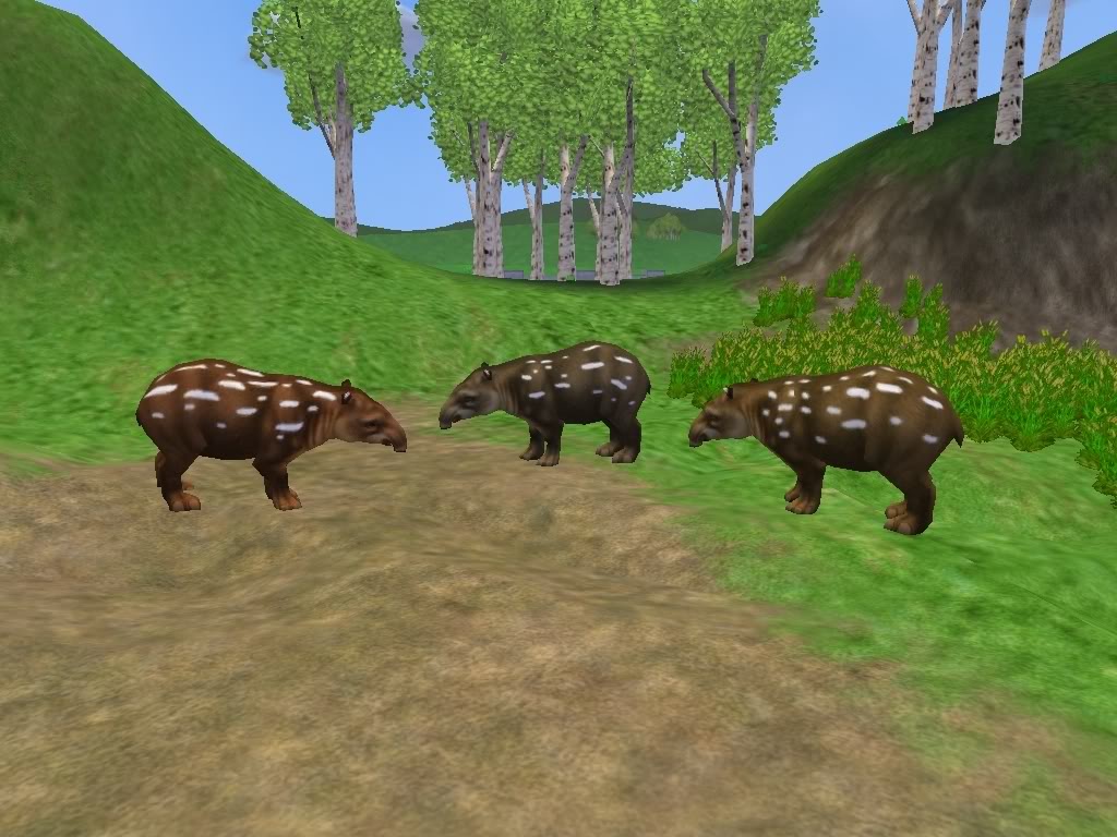 Miotapirus - The Zoo Tycoon Wiki - Zoo Tycoon, Zoo Tycoon 2, cheats