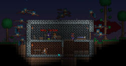15 Harpies