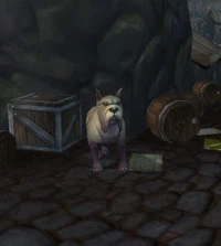 WaryMastiff