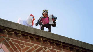 MuppetsBeingGreenTeaser11