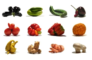 Natural-fruits-vegetables-uli-westphal-mutato.png