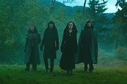 Volturi Guard