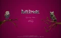 Pottermorejune17.jpg