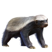 Huge item honeybadger 01.png