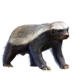 Item honeybadger 01.png