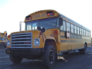 International S-Series Schoolmaster