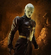 Piccolo1