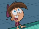 OperationDinkleberg204