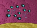 OperationDinkleberg252