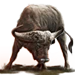Item capebuffalo 02