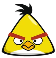 Chuck