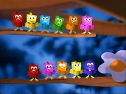 11birds