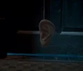 Oreille à rallonge.jpg