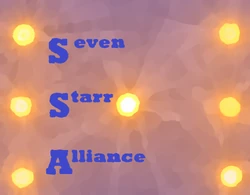 SSA Flag